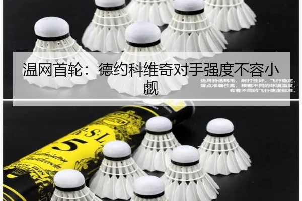 温网首轮：德约科维奇对手强度不容小觑